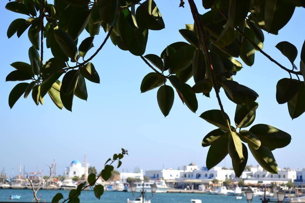 Artemis Hotel Antiparos Exterior photo
